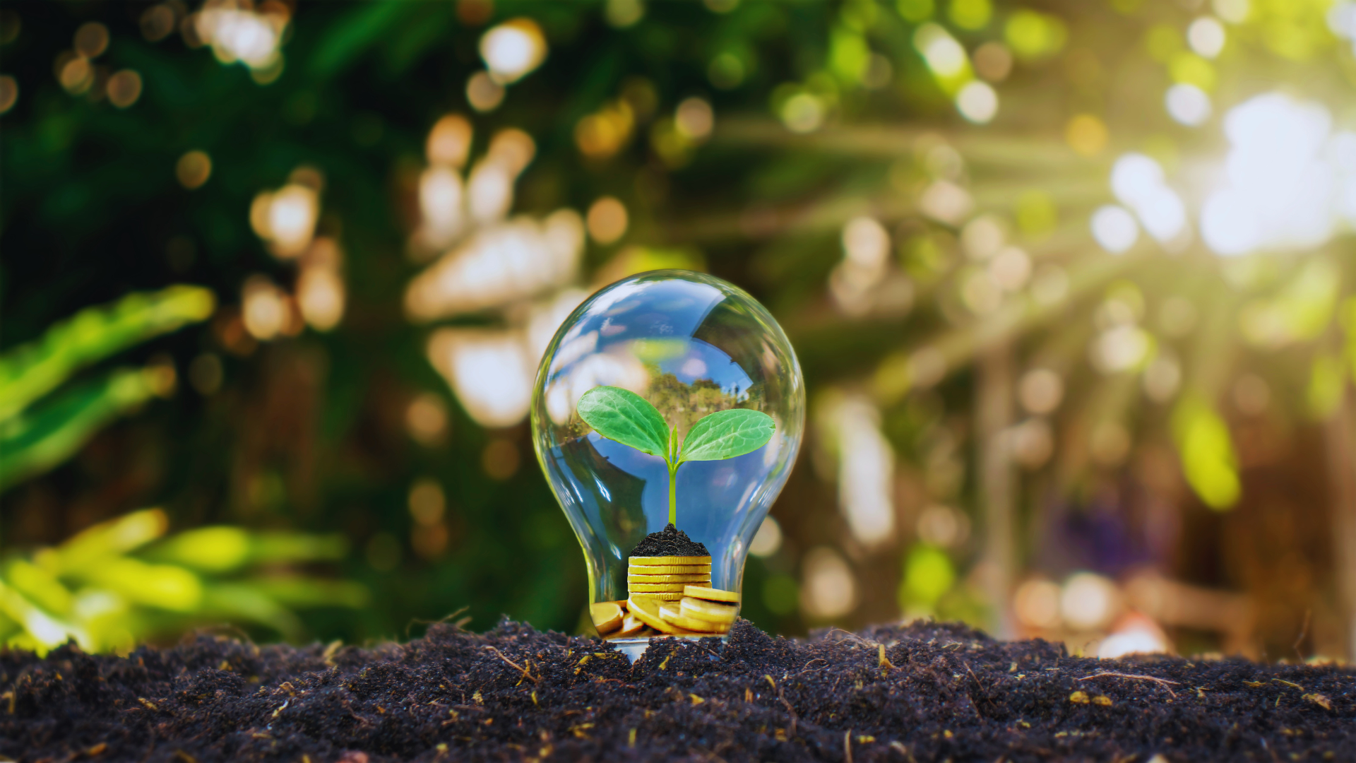 ¿Necesitas un certificado de ahorro energético? - Desarrollos Integrales Lumijisa