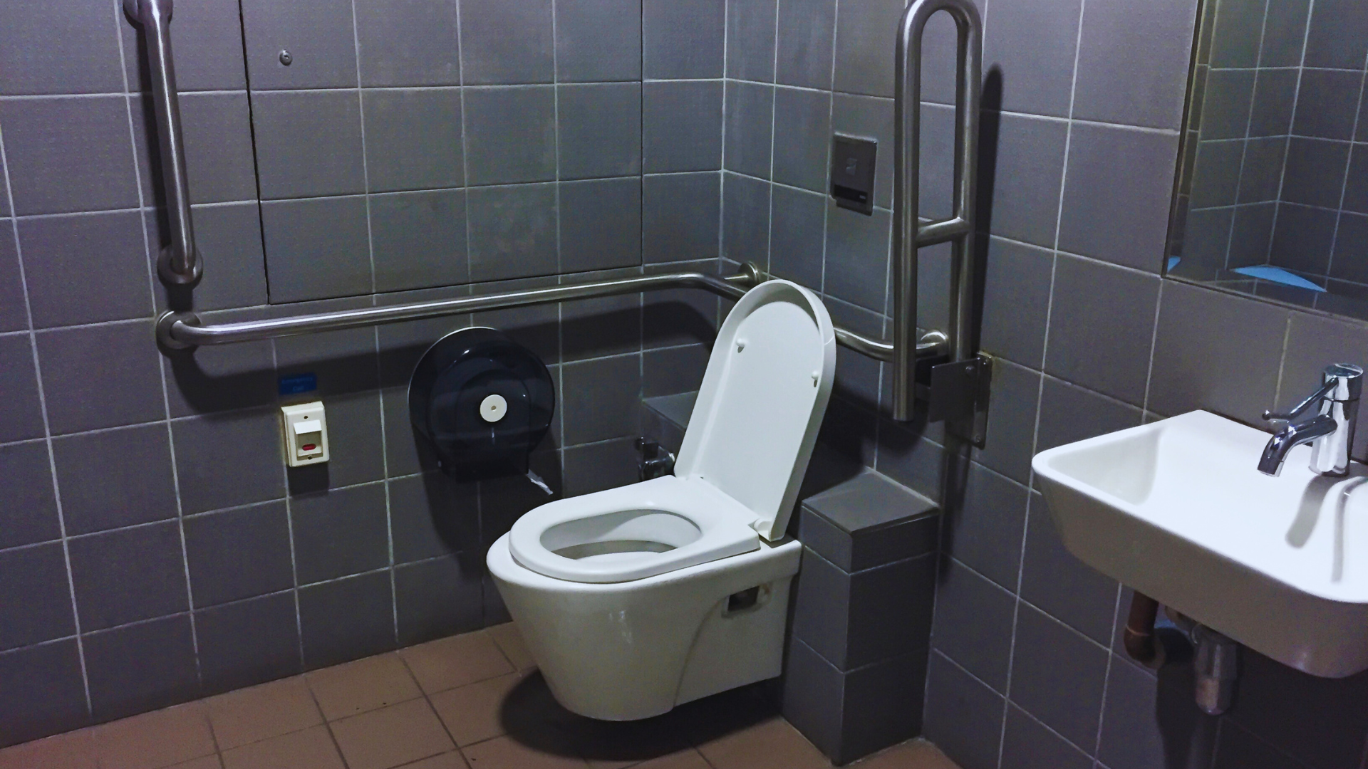 Creamos verdaderos baños accesibles - Desarrollos Integrales Lumijisa