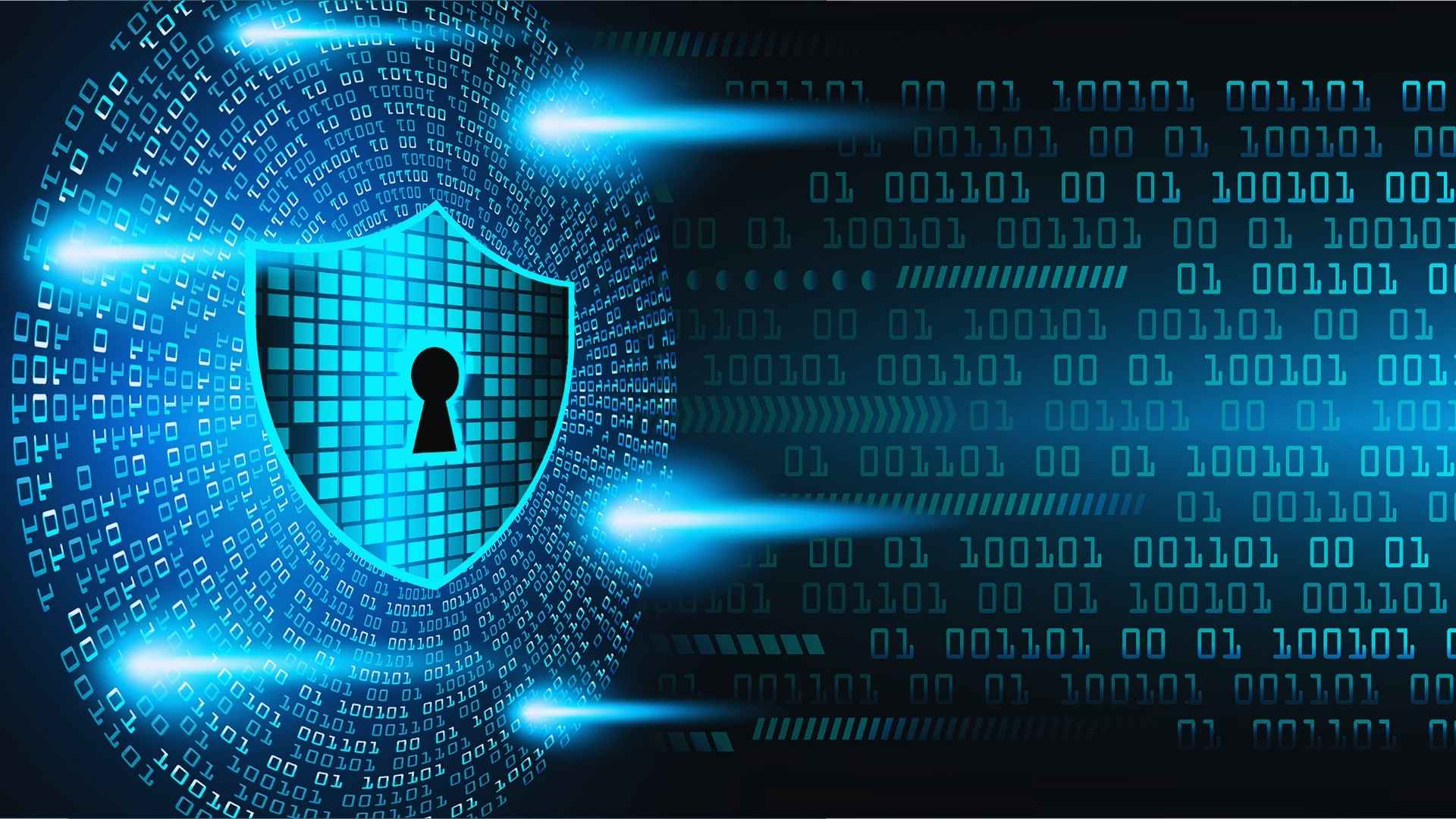 Cómo elegir el sistema de seguridad adecuado para tu hogar o negocio - Desarrollos Integrales Lumijisa